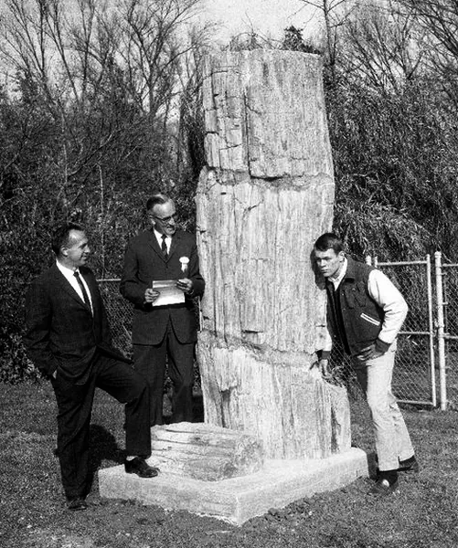 Chrouser, Swartz and Kielsmeier with the petrified log